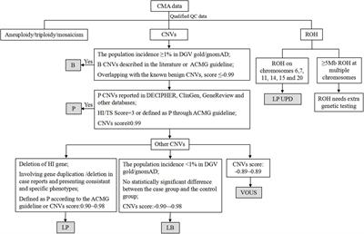 Prenatal diagnosis and pregnancy outcomes in fetuses with ventriculomegaly